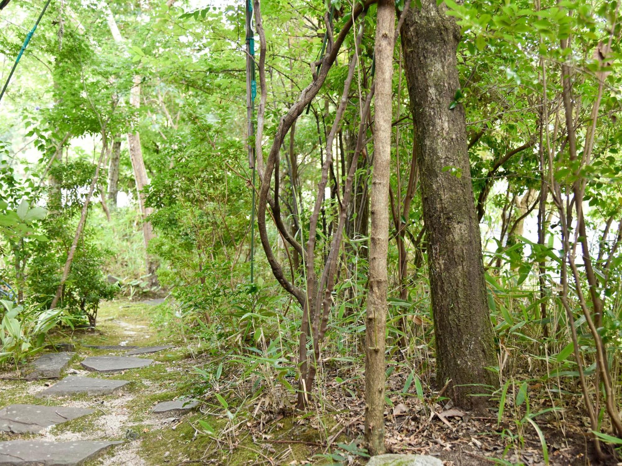 Oyado Yumechidori Hotel Saga Exterior foto